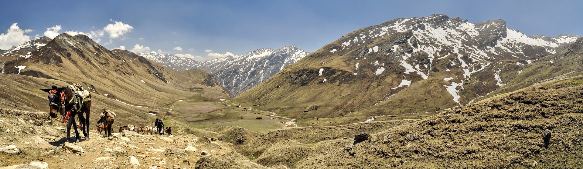 Trektocht Upper Dolpo Inner Mu La Dunai Do Nepal Snow Leopard