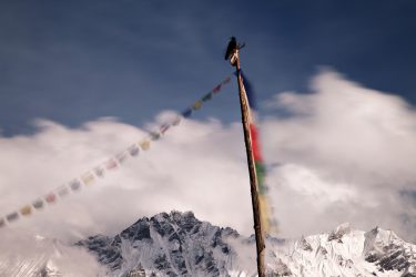 Trektocht Langtang Gosaikund Helambu Nepal | Snow Leopard (4)