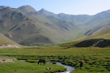 Aktieve reis Issy Kul Hemelse Bergen Bishkek Kirgizië of beklim Peak Lenin | Snow Leopard 16
