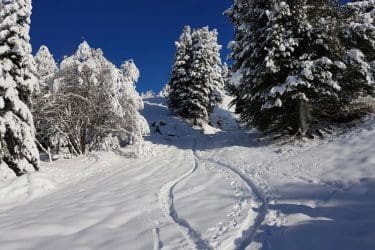 Oostenrijk Sneeuwwandelen Innerkrems groepsreis