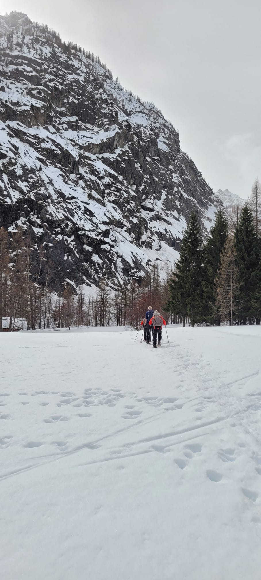 Sneeuwwandelreis Puy-Saint-Vincent | de Franse Ecrins