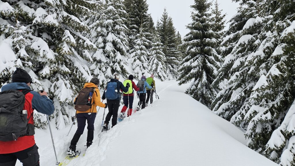 oostenrijk-sneeuwwandelen-tannheimer-tal